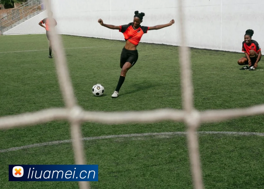 多媒体互动体验